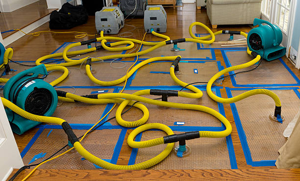 Professional Water Damage Repair technician working in Media, PA